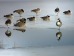 ������� ��&nbsp;�������&nbsp;����