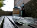 Хромая судьба гена алкоголизма Хромая судьба гена алкоголизма