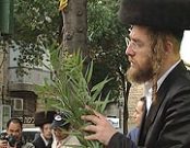 Израиль. Иерусалим - подробнее о выпуске... Израиль. Иерусалим - подробнее о выпуске...